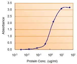 Anti-AMPK alpha 2 antibody, Internal used in ELISA (ELISA). GTX88046