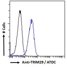 Anti-TRIM29 antibody, Internal used in Flow cytometry (FCM). GTX88145