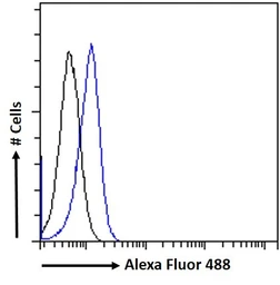 Anti-PLA2R1 antibody, Internal used in Flow cytometry (FCM). GTX88257