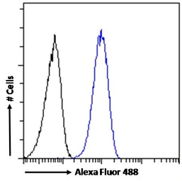 Anti-SMC5 antibody, Internal used in Flow cytometry (FCM). GTX88264