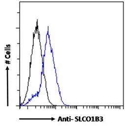 Anti-OATP8 antibody, Internal used in Flow cytometry (FCM). GTX88295