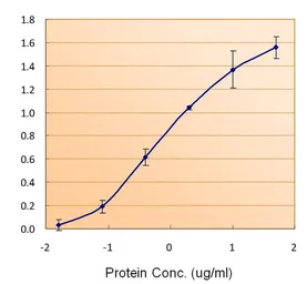 Anti-Ferritin Light Chain antibody, C-term used in ELISA (ELISA). GTX88496