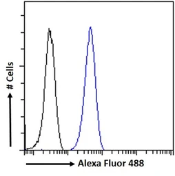 Anti-PGC1 alpha antibody, Internal used in Flow cytometry (FCM). GTX89046