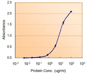 Anti-G6PD (aa 308 - 320) antibody, Internal used in ELISA (ELISA). GTX89057
