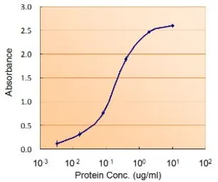 Anti-FOXO4 antibody, Internal used in ELISA (ELISA). GTX89101