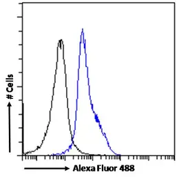 Anti-LEF1 antibody, Internal used in Flow cytometry (FCM). GTX89284