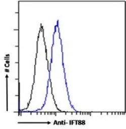 Anti-IFT88 antibody, C-term used in Flow cytometry (FCM). GTX89425