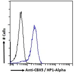 Anti-HP1 alpha antibody, Internal used in Flow cytometry (FCM). GTX89432