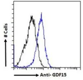 Anti-GDF15 antibody, C-term used in Flow cytometry (FCM). GTX89503