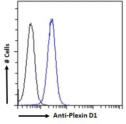 Anti-Plexin D1 antibody, Internal used in Flow cytometry (FCM). GTX89601