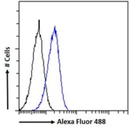 Anti-DKK1 antibody, C-term used in Flow cytometry (FCM). GTX89683