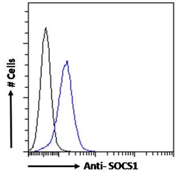 Anti-SOCS1 antibody, C-term used in Flow cytometry (FCM). GTX89995