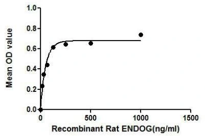 Functional ELISA analysis of GTX00057-pro Rat EndoG protein which can bind immobilized HSP1A1 protein.