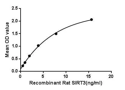 Functional ELISA analysis of GTX00061-pro Rat SIRT3 protein (active) which can bind immobilized IDH2 protein.