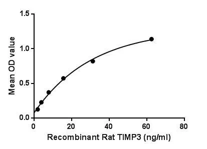 Functional ELISA analysis of GTX00064-pro Rat TIMP3 protein which can bind immobilized MMP2 protein.