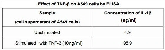 ELISA detection of IL-1 beta expression from A549 cells stimulated by GTX00103-pro Human TNF beta protein (active) at 10 ng/ml for 8hrs.
