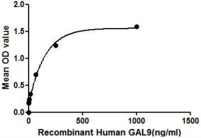 Functional ELISA analysis of GTX00111-pro Human Galectin 9 protein (active) which can bind immobilized PDI protein.