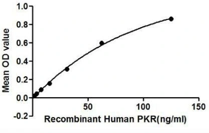 Functional ELISA analysis of GTX00113-pro Human PKR protein (active) which can bind immobilized CDK1 protein.