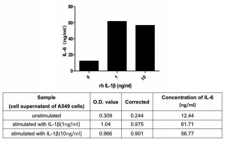 ELISA detection of secreted IL-6 protein activation from A549 cells induced by GTX00115-pro Human IL1 beta protein (active) for 4hrs. Recombinant protein concentrations: 1, and 10 ng/ml.