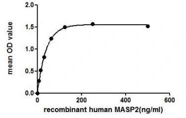 Functional ELISA analysis of GTX00122-pro Human MASP2 protein which can bind immobilized MBL2 protein.
