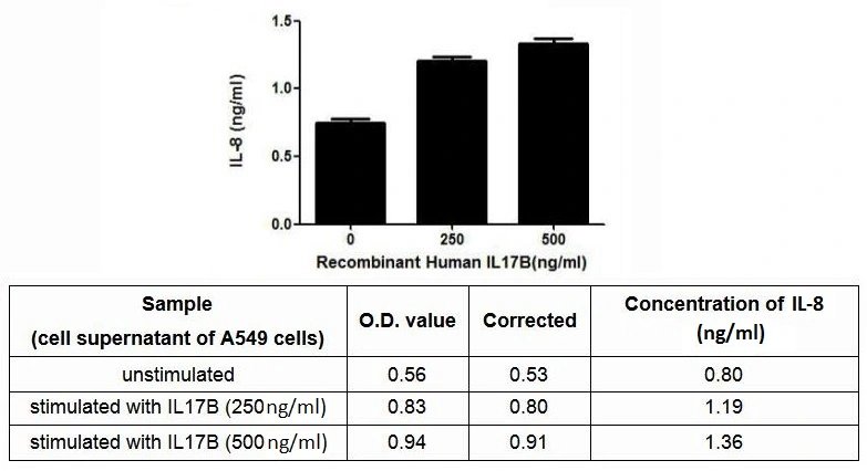 ELISA detection of secreted IL-8 protein activation from A549 cells induced by GTX00134-pro Human IL17B protein (active) for 20hrs. Recombinant protein concentrations: 250, and 500 ng/ml.