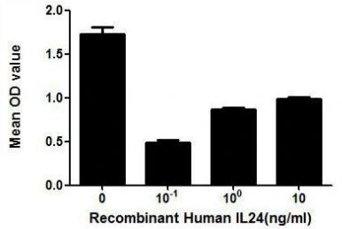 The inhibitory effect of GTX00138-pro Human IL24 protein (active) on the cell proliferation of ECV-304 cells. After incubation of Human IL24 protein (active) for 48 hrs, cell viability was measured by Cell Counting Kit-8 (CCK-8).