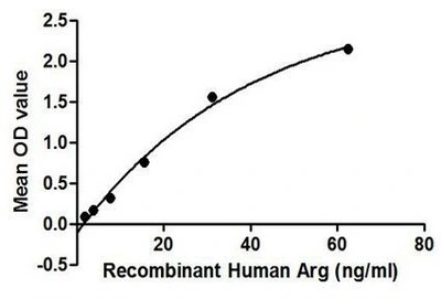 Functional ELISA analysis of GTX00168-pro Human Arginase 1 protein which can bind immobilized UCHL5 protein.
