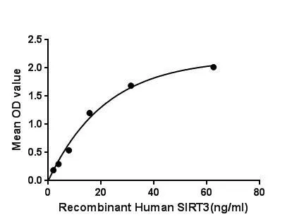 Functional ELISA analysis of GTX00190-pro Human SIRT3 protein which can bind immobilized IDH2 protein.