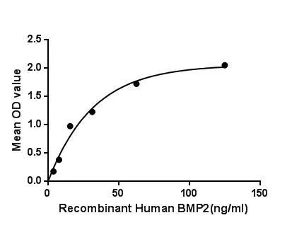Functional ELISA analysis of GTX00203-pro Human BMP2 protein (active) which can bind immobilized FBN1 protein.