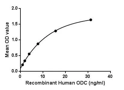 Functional ELISA analysis of GTX00239-pro Human ODC protein which can bind immobilized TK1 protein.