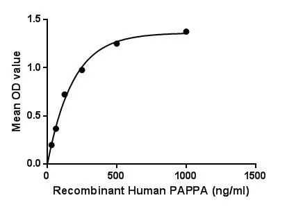 Functional ELISA analysis of GTX00254-pro Human PAPP A protein (active) which can bind immobilized Plg protein.