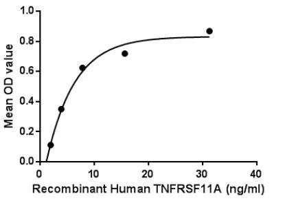 Functional ELISA analysis of GTX00262-pro Human RANK protein which can bind immobilized TRAF5 protein.