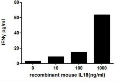 ELISA detection of secreted IFN gamma protein activation from murine spleen cells induced by GTX00284-pro Mouse IL18 protein (active) for 48hrs. Recombinant protein concentrations: 1, 10, 100, and 1000 ng/ml.