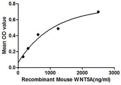 Functional ELISA analysis of GTX00301-pro Mouse Wnt5a protein which can bind immobilized WIF1 protein.