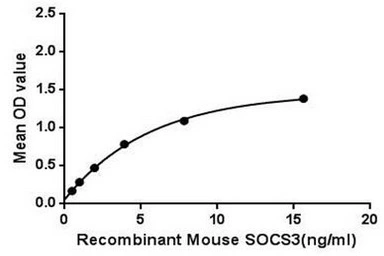 Functional ELISA analysis of GTX00304-pro Mouse SOCS3 protein which can bind immobilized gp130 protein.