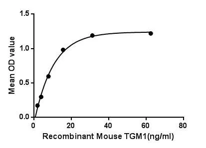 Functional ELISA analysis of GTX00315-pro Mouse TGM1 protein which can bind immobilized SNCa protein.