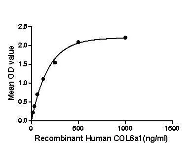 Functional ELISA analysis of GTX00316-pro Mouse COL6A1 protein which can bind immobilized PDGFA protein.