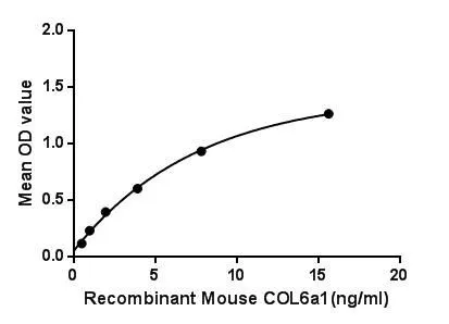 Functional ELISA analysis of GTX00317-pro Mouse COL6A1 protein which can bind immobilized RTBDN protein.