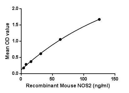 Functional ELISA analysis of GTX00325-pro Mouse iNOS protein (active) which can bind immobilized UCHL5 protein.