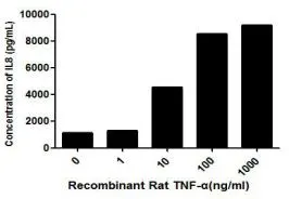 ELISA detection of secreted IL-6 protein activation from A549 cells induced by GTX00342-pro Rat TNF alpha protein (active) for 8hrs. Recombinant protein concentrations: 1, 10, 100, and 1000 ng/ml.