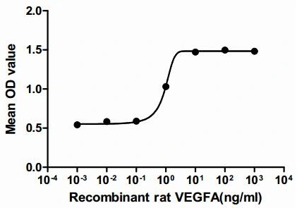The dose effect curve of GTX00343-pro Rat VEGFA protein (active) on ECV-304 cells. After incubation of Rat VEGFA protein (active) for 72 hrs, cell proliferation was measured by Cell Counting Kit-8 (CCK-8).