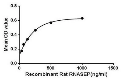 Functional ELISA analysis of GTX00344-pro Rat RPP40 protein which can bind immobilized NPM protein.
