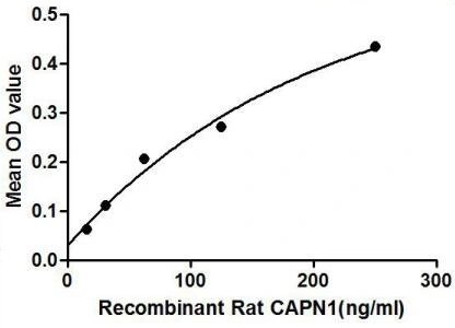 Functional ELISA analysis of GTX00357-pro Rat Calpain 1 protein which can bind immobilized STAT3 protein.