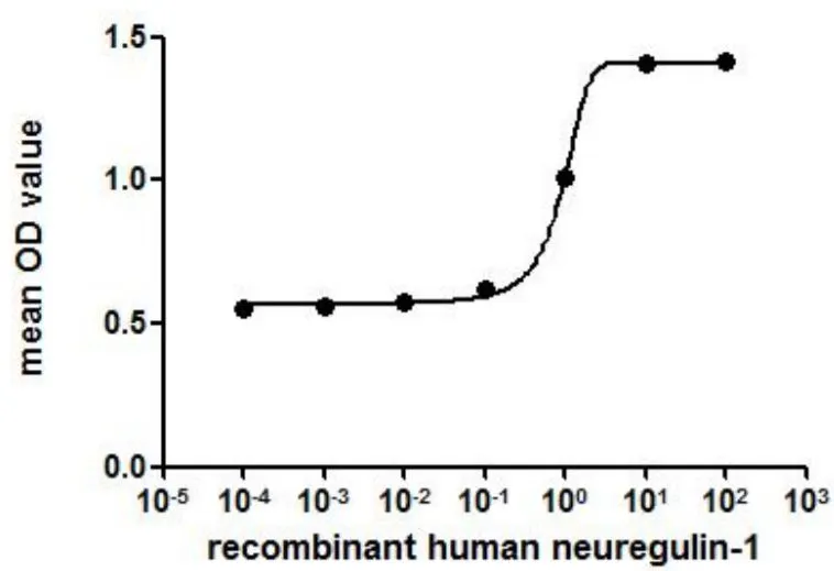 Cell proliferation effect of GTX00417-pro Human Neuregulin-1 protein (active) on MCF-7 cells. After incubation of Human Neuregulin-1 protein (active) for 72 hrs, cell proliferation was measured by Cell Counting Kit-8 (CCK-8). The ED50 for this effect is typically 5.240 to 9.112 ng/ml.