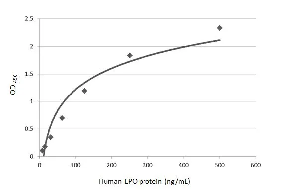 Indirect ELISA analysis was performed by coating the plate with recombinant E.coli expressed, full-length human EPO protein, His and GST tag (active) (GTX00422-pro) (500-7.81 ng/mL). Coated protein was probed with EPO antibody (GTX100813) (1 microg/mL). Goat anti-rabbit IgG antibody (HRP) (GTX213110-01) (1:10000) was used to detect the bound primary antibody.
