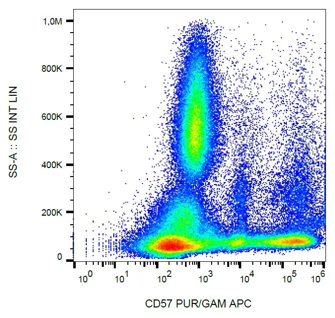 FACS analysis of human buffy coat cells using GTX00463 CD57 antibody [TB01].