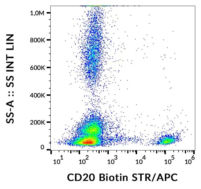 FACS analysis of human peripheral blood using GTX00466-02 CD20 antibody [2H7] (Biotin).