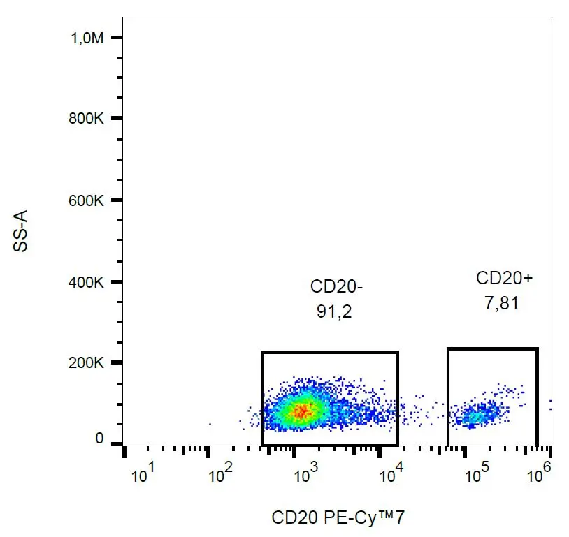 FACS analysis of human peripheral blood (lymphocyte gate) using GTX00466-10 CD20 antibody [2H7] (PE-Cy7).