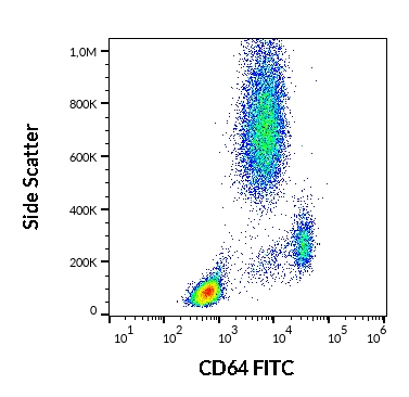 FACS analysis of human peripheral blood using GTX00467-06 CD64 antibody [10.1] (FITC).
