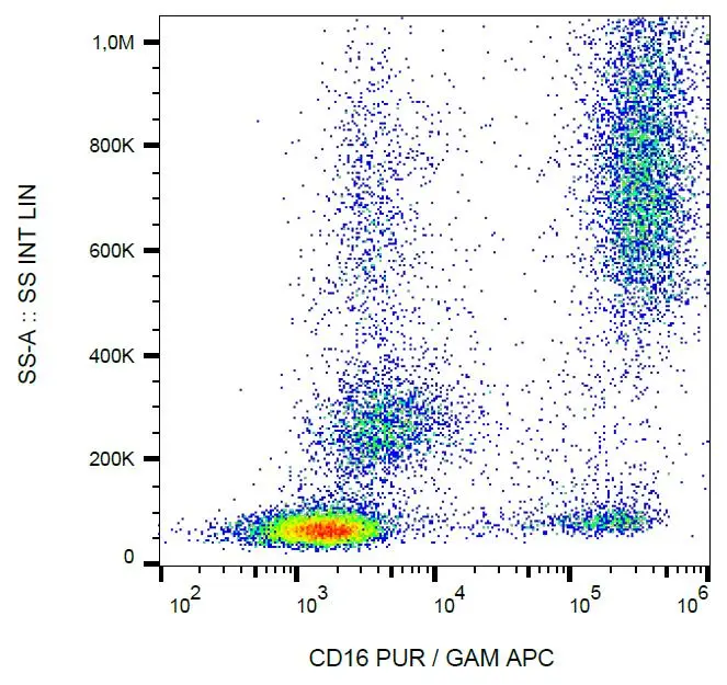 FACS analysis of human peripheral blood using GTX00468 CD16 antibody [3G8].